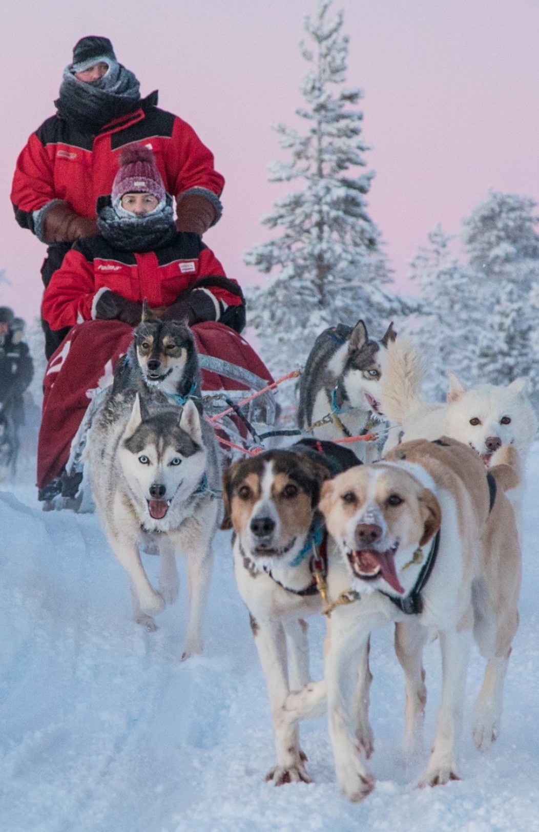 Lapland Winter Adventure